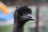 Besuch auf dem Possen Bild: Besuch auf dem Possen