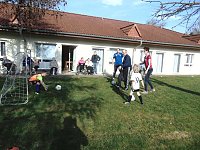 Bild: Neues vom Sonnenhof