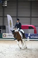 Starke Nordthüringer Reiterinnen: J. Bauermeister mit Nobilis Bild: Starke Nordthüringer Reiterinnen: J. Bauermeister mit Nobilis