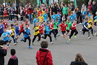 Bild: Fr&uuml;hjahrscrosslauf im Gehege