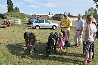 Kampf der Giganten Sundhausen Bild: Kampf der Giganten Sundhausen
