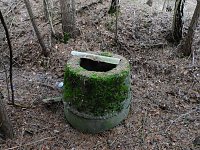 Bild: Ruinen in der Heide
