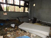 Bild: Ruinen in der Heide