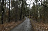 Bild: Ruinen in der Heide