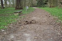Bild: Mulmiges verwelktes Laub auf Spazierwegen. Arbeit f&uuml;r den Fr&uuml;hjahrsputz.
