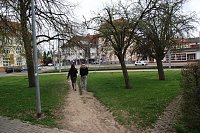 Die Stadt hat ihr im Vorjahr gegebenes Versprechen noch nicht eingelöst. Bild: Die Stadt hat ihr im Vorjahr gegebenes Versprechen noch nicht eingelöst.
