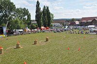 Kampf der Giganten Sundhausen Bild: Kampf der Giganten Sundhausen
