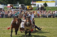 Kampf der Giganten Sundhausen Bild: Kampf der Giganten Sundhausen