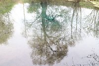 Bild: Expertise f&uuml;r die Salzaquelle - auf dem Naturlehrpfad erkl&auml;ren jetzt neun Tafeln die Quelle und ihre Umgebung