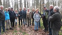 Wanderung zu den Märzenbechern Bild: Wanderung zu den Märzenbechern