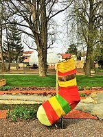Bild: Auf Info-Tour in Apolda