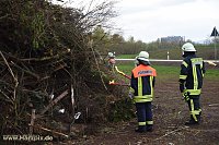 Bild: Osterfeuer Sundhausen und Werther