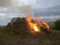 Bild: Zwei Osterfeuer in Neustadt