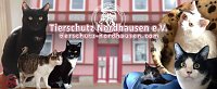Bild: Fr&uuml;hlingsfest im Tierschutzhaus