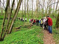Bild: Bergmannsverein St. Barbara wanderte in Ilfeld