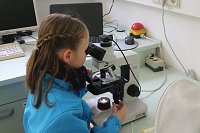 Hochschulinformationstag in Nordhausen Bild: Hochschulinformationstag in Nordhausen