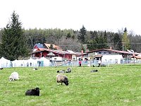 Bild: L&auml;mmerfest auf der Ziegenalm Sophienhof