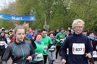 Vierter Harztorlauf Bild: Vierter Harztorlauf