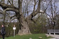 Bild: Landsenioren unterwegs im Eichsfeld