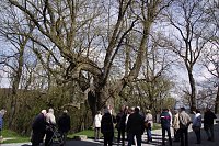 Bild: Landsenioren unterwegs im Eichsfeld