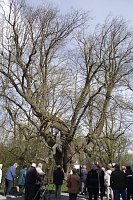 Bild: Landsenioren unterwegs im Eichsfeld