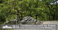 Mit dem Fotoapparat unterwegs Bild: Mit dem Fotoapparat unterwegs