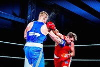 Nordhäuser Boxer holen wieder den Meistertitel Bild: Nordhäuser Boxer holen wieder den Meistertitel