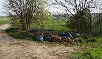 Illegale Entsorgung am Wanderweg Bild: Illegale Entsorgung am Wanderweg