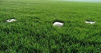 Illegale Entsorgung am Wanderweg Bild: Illegale Entsorgung am Wanderweg