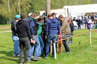 Bild: Maibaumsetzen in W&uuml;lfngerode