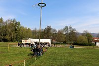 Bild: Maibaumsetzen in W&uuml;lfngerode