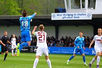 1:1 Unentschieden gegen den BFC Bild: 1:1 Unentschieden gegen den BFC