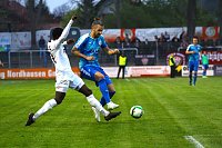 1:1 Unentschieden gegen den BFC Bild: 1:1 Unentschieden gegen den BFC