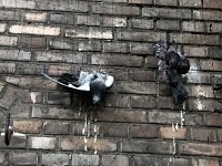 Hier muss gehandelt werden Bild: Hier muss gehandelt werden