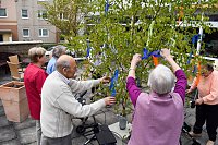Maibaumsetzen im DRK Pflegeheim Bild: Maibaumsetzen im DRK Pflegeheim