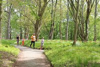 Bild: 1. Heinrich-Siesmayer-Ged&auml;chtnislauf im Park Hohenrode