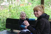 Bild: 1. Heinrich-Siesmayer-Ged&auml;chtnislauf im Park Hohenrode