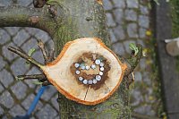 Jugendkunstschultag in Nordhausen Bild: Jugendkunstschultag in Nordhausen