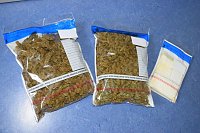 Cannabis-Plantage in Sundhausen Bild: Cannabis-Plantage in Sundhausen