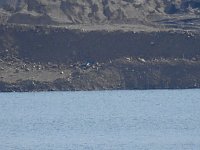 Peter Blei zu Besuch am Concordia See Bild: Peter Blei zu Besuch am Concordia See