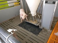 Bild: Radeln f&uuml;r eine gute Sache