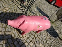 Bild: Radeln f&uuml;r eine gute Sache