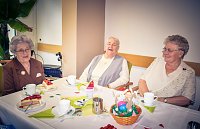 Bild: Fr&uuml;hling mit allen Sinnen erlebt und genossen