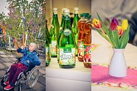 Bild: Fr&uuml;hling mit allen Sinnen erlebt und genossen