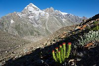 Impressionen vom Indischen Himalaya Bild: Impressionen vom Indischen Himalaya