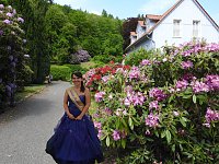 Bild: 22. Rhododendronfest in S&uuml;lzhayn
