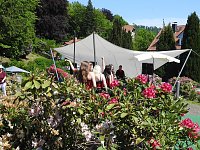 Bild: 22. Rhododendronfest in S&uuml;lzhayn