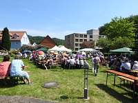 Bild: 22. Rhododendronfest in S&uuml;lzhayn