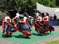 Bild: 22. Rhododendronfest in S&uuml;lzhayn