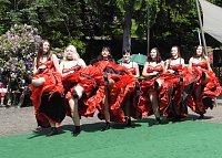 Bild: 22. Rhododendronfest in S&uuml;lzhayn
